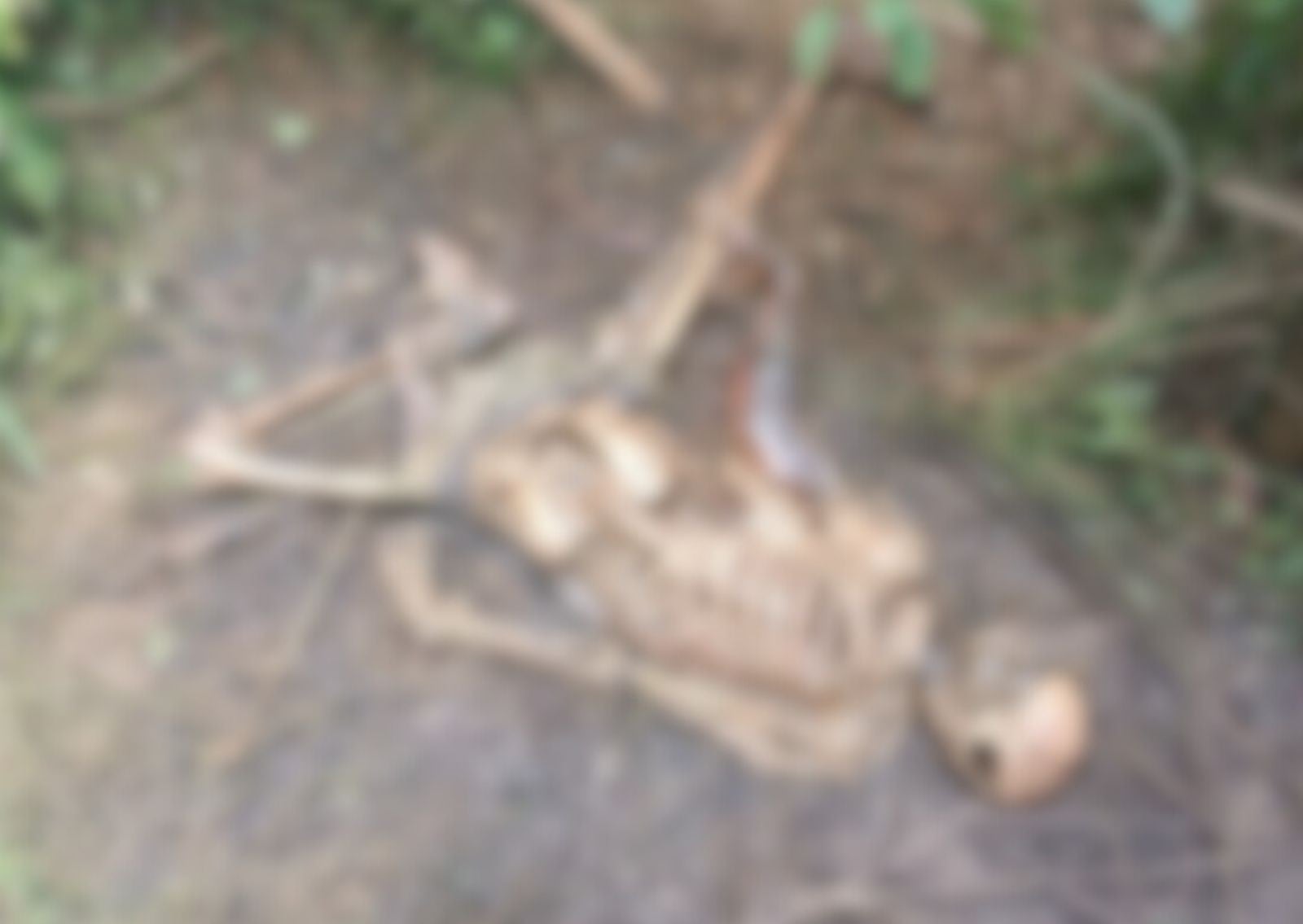 Imagem retrata corpo em imagem embaçada.