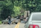 Queda de árvore bloqueia ES 489 entre Cachoeiro e Atílio Vivácqua