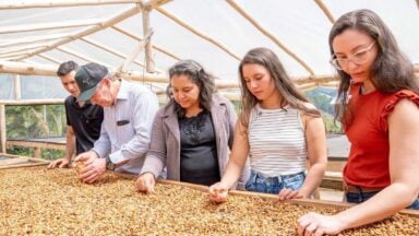Rota Cafés de Muniz Freire: circuito turístico reúne histórias, tradições e sabores