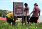 Projeto ambiental sinaliza todo o litoral de Marataízes e impulsiona turismo