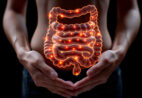 Saúde do intestino influencia o envelhecimento? Veja