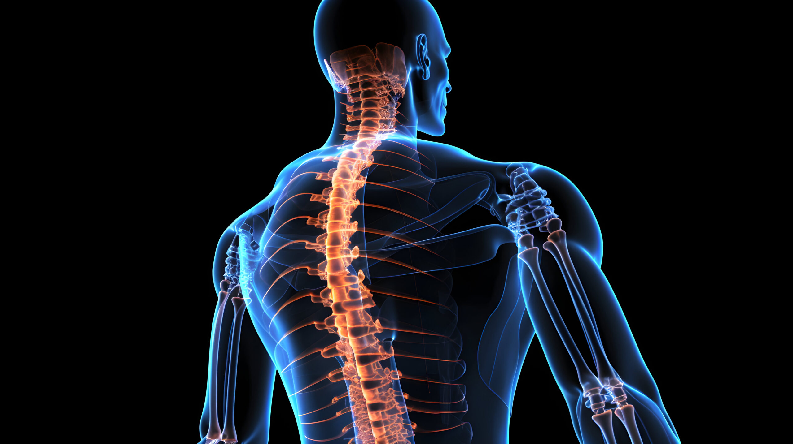 A foto msotra polilaminina