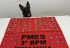 K9 Alga, da Polícia Miliar, localiza drogas em Guaçuí