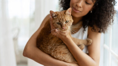 Como gatos podem ajudar na cura do câncer humano