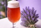 Lavandário de Pedra Azul lança cerveja artesanal de lavanda