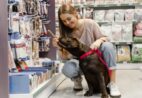 Mercado Pet no ES cresce 28% e revela oportunidades para novos empreendedores