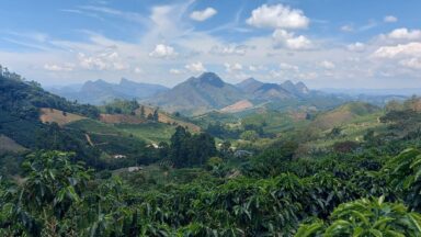Café do Caparaó: o roteiro turístico que revela histórias e sabores