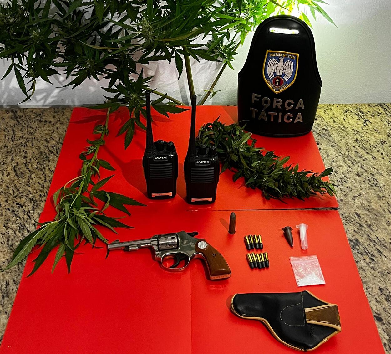 detenção e apreensão de drogas Guaçuí