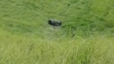 Sargento da PM sofre acidente na BR-482 entre Alegre e Guaçuí