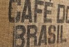 Exportação de café do Brasil cai 8% em março, para 3 milhões de sacas