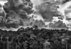 Cais das Artes abre as portas com mostra “Amazônia” de Sebastião Salgado