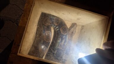 Jiboia de 2 metros é resgatada em lanchonete em Marechal Floriano