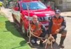Bombeiros resgatam cão em mata de difícil acesso em Venda Nova