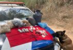 Cão farejador ajuda PM a apreender drogas em Marataízes