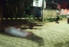 Homem é morto em Alegre e polícia procura autor do crime