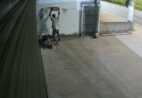 Homem é preso por matar morador de rua com tampa de bueiro no ES