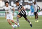 Copa do Brasil: onde assistir Chapecoense x Botafogo ao vivo