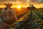 Crédito rural cresce e fortalece agricultura familiar no ES