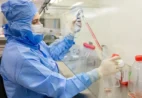 Pesquisa brasileira usa células-tronco contra complicações do transplante de medula