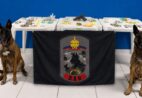 Cães policiais do ES retiram mais de 8 kg de drogas de circulação em uma semana