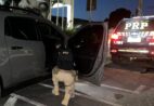 Motorista é detido com carro roubado durante abordagem da PRF
