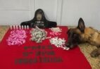 Cadela da PM encontra sacola com drogas em Cachoeiro