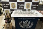 GCM e Polícia Civil apreendem mais de 400 embalagens de drogas em Marataízes