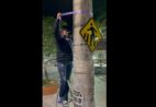 Vereadora usa fitas roxas para denunciar falta de iluminação pública em Vargem Alta