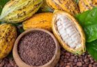 Agro capixaba vai além do café e aposta na diversidade