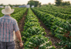 Agro capixaba alcança marca histórica com R$ 8,31 bilhões em crédito rural