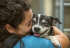Copa do Mundo: veja cuidados para proteger os pets durante os jogos