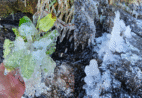 Frio de -4°C congela nascentes no Caparaó