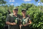 Propriedade de Jaguaré conquista selo inédito de IG para café conilon torrado