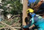 Cachoeiro acelera obras para reduzir riscos de deslizamentos