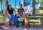 PET Vida leva castração e vacinação gratuita para cães e gatos em Vila Velha