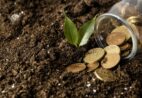 PIB da agropecuária capixaba cresce 125% em quatro anos