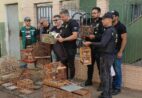 Operação apreende 22 aves em feira de Vila Velha