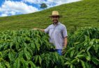 Drones, GPS e clones: o futuro do café conilon será tema em simpósio em Guaçuí