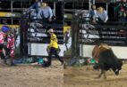 Atenção: imagens fortes! Peão fica ferido durante rodeio da Festa de Cachoeiro