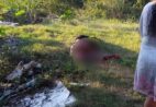 Homem é morto a tiros em Cachoeiro de Itapemirim