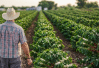 Crédito rural no ES atinge recorde de R$ 8,31 bilhões no ano-safra 2025/2026