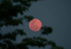 Veja que horas observar a Lua de Morango no Espírito Santo