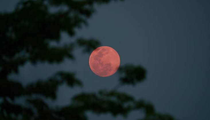Lua de Morango no Espírito Santo