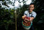 Guaçuí recebe evento sobre tecnologia, café e leite que vai transformar sua propriedade rural