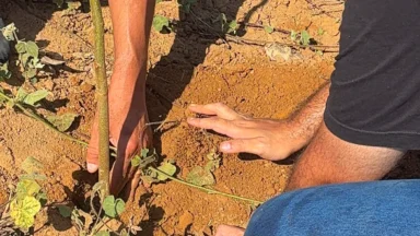 Marataízes recupera áreas degradadas e avança na proteção de recursos hídricos