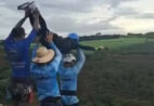 Rope Jump: mulher morre após ser jogada sem cordas durante salto