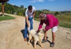 Anchieta amplia vacinação antirrábica para cães e gatos