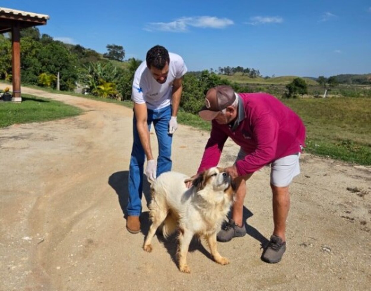 vacinação antirrábica em Anchieta