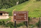 Bosque das Cerejeiras vira destino completo para passeio no ES