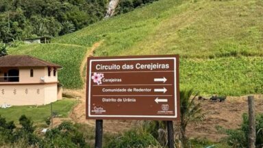 Bosque das Cerejeiras vira destino completo para passeio no ES